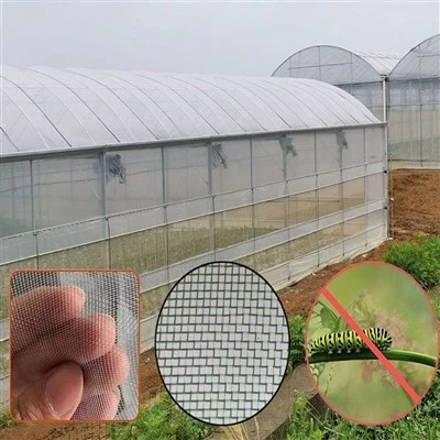Anti Insect Net for Agriculture Anti Insect Net for Agriculture